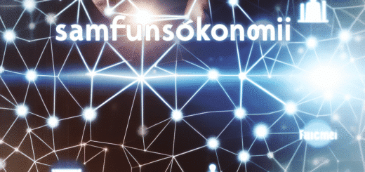 Hva ligger i begrepet samfunnsøkonomi?